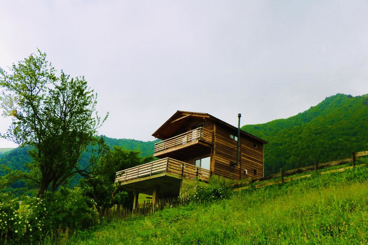 Виллы Villa Dabderr Mestia Местиа-36