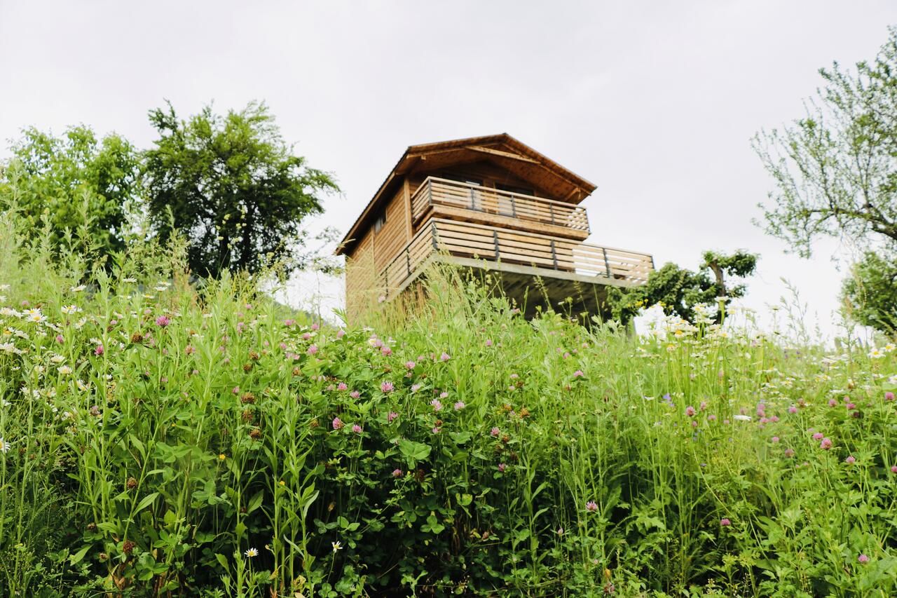 Виллы Villa Dabderr Mestia Местиа-41