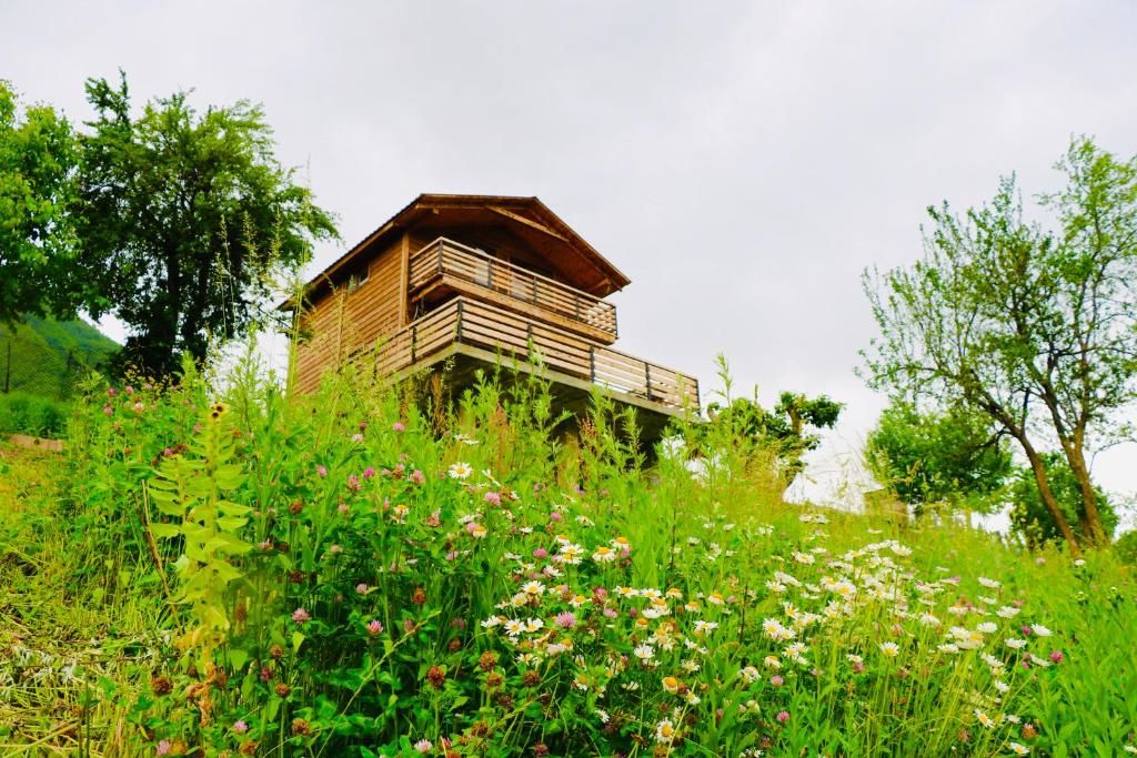Виллы Villa Dabderr Mestia Местиа-51