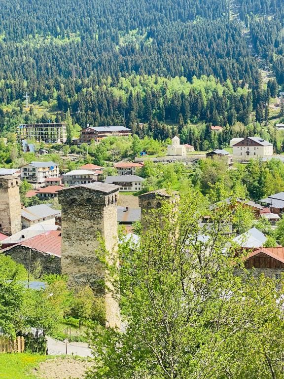 Виллы Villa Dabderr Mestia Местиа-69