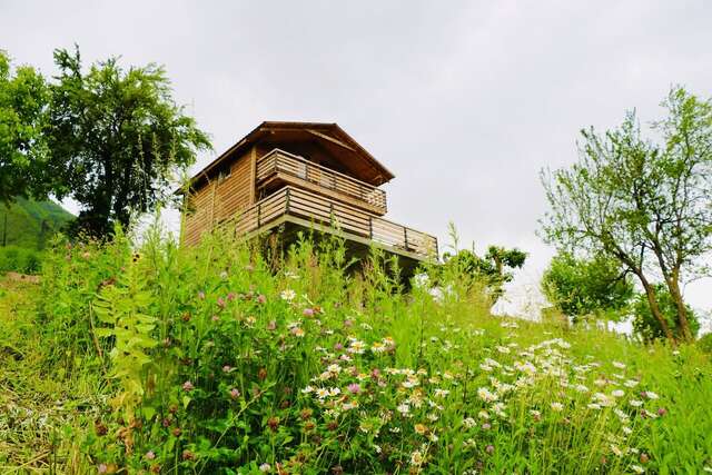 Виллы Villa Dabderr Mestia Местиа-3