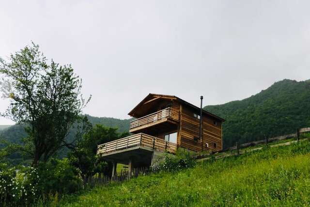Виллы Villa Dabderr Mestia Местиа-46
