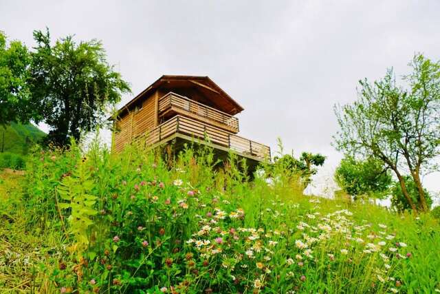 Виллы Villa Dabderr Mestia Местиа-50