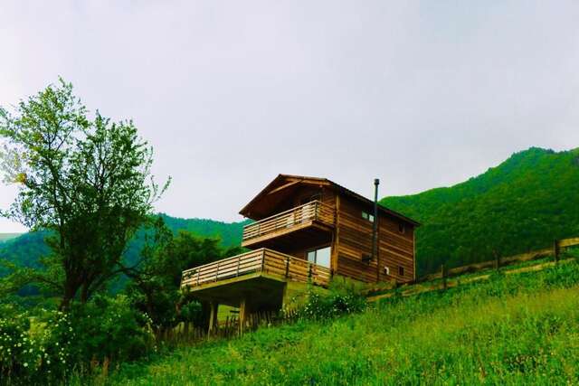 Виллы Villa Dabderr Mestia Местиа-75