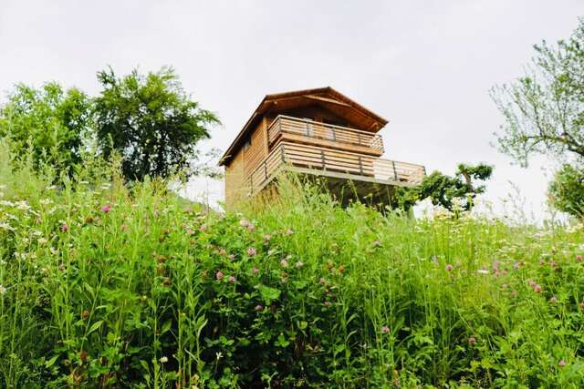 Виллы Villa Dabderr Mestia Местиа-80