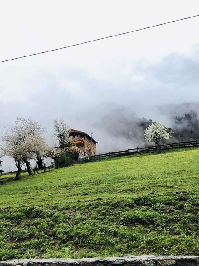 Виллы Villa Dabderr Mestia Местиа-11